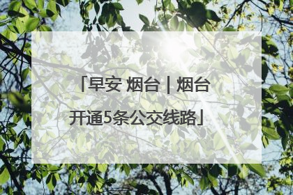 早安 烟台｜烟台开通5条公交线路