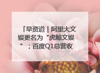 早资道｜阿里大文娱更名为“虎鲸文娱”；百度Q1总营收325亿元超预期