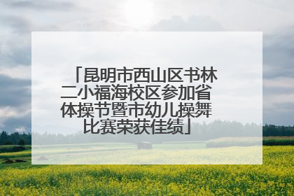 昆明市西山区书林二小福海校区参加省体操节暨市幼儿操舞比赛荣获佳绩