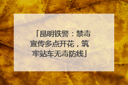 昆明铁警：禁毒宣传多点开花，筑牢站车无毒防线