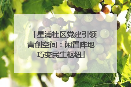 星浦社区党建引领青创空间：闲置阵地巧变民生枢纽