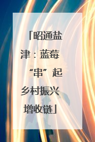 昭通盐津：蓝莓“串”起乡村振兴增收链