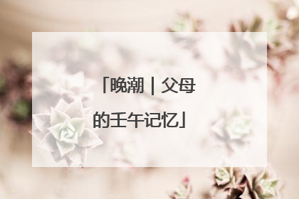 晚潮｜父母的壬午记忆