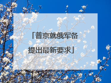 普京就俄军备提出最新要求