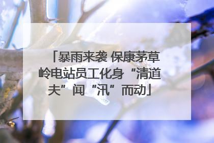 暴雨来袭 保康茅草岭电站员工化身“清道夫”闻“汛”而动