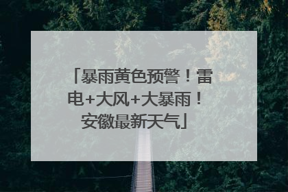 暴雨黄色预警！雷电+大风+大暴雨！安徽最新天气