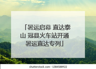 暑运启幕 直达泰山 冠县火车站开通暑运直达专列