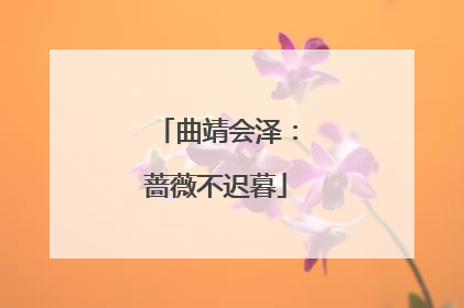 曲靖会泽：蔷薇不迟暮