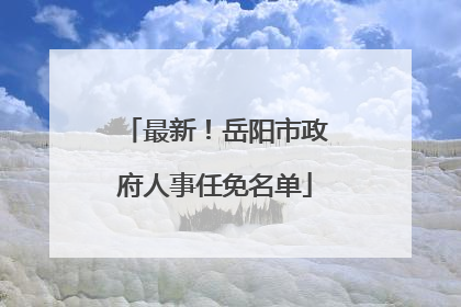 最新！岳阳市政府人事任免名单