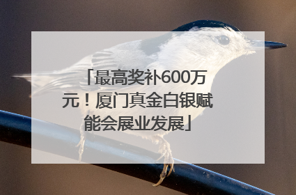 最高奖补600万元！厦门真金白银赋能会展业发展
