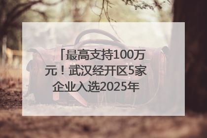 最高支持100万元！武汉经开区5家企业入选2025年度武汉市重点研发计划拟立项项目名单