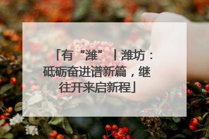 有“潍”丨潍坊：砥砺奋进谱新篇，继往开来启新程