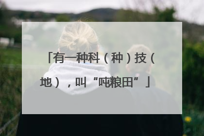 有一种科（种）技（地），叫“吨粮田”