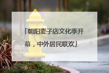 朝阳麦子店文化季开幕，中外居民联欢
