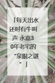 每天出水还时有牛叫声 永嘉30年老宅的“泉眼之谜”