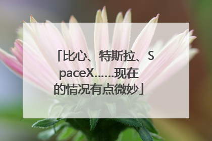 比心、特斯拉、SpaceX……现在的情况有点微妙