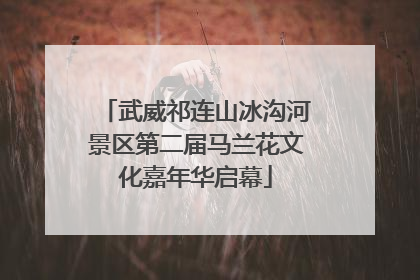 武威祁连山冰沟河景区第二届马兰花文化嘉年华启幕