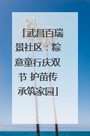 武昌百瑞景社区：粽意童行庆双节 护苗传承筑家园
