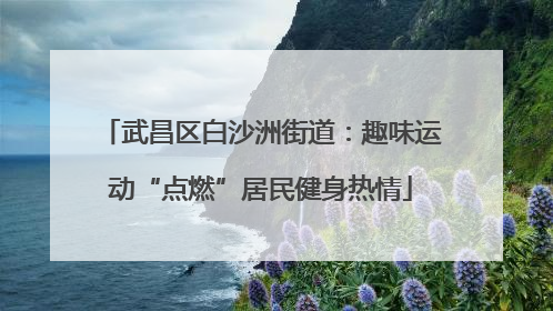武昌区白沙洲街道：趣味运动“点燃”居民健身热情