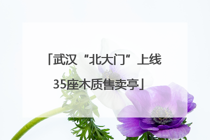 武汉“北大门”上线35座木质售卖亭