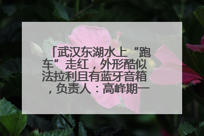 武汉东湖水上“跑车”走红，外形酷似法拉利且有蓝牙音箱，负责人：高峰期一两百人排队