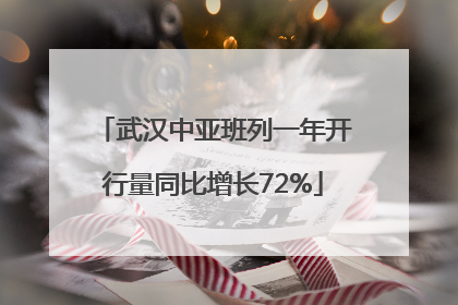 武汉中亚班列一年开行量同比增长72%
