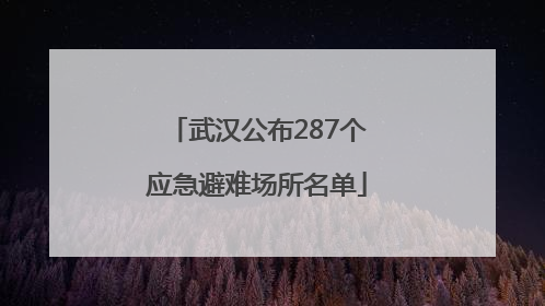 武汉公布287个应急避难场所名单
