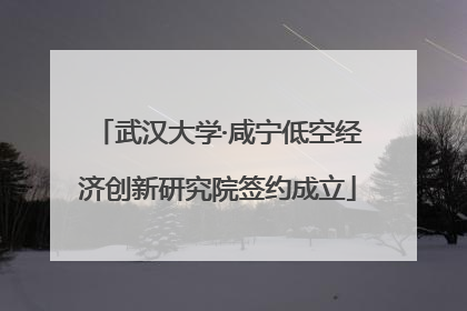 武汉大学·咸宁低空经济创新研究院签约成立