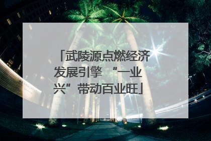 武陵源点燃经济发展引擎 “一业兴”带动百业旺