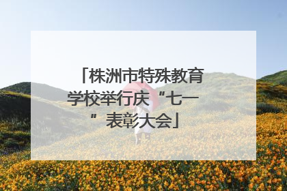 株洲市特殊教育学校举行庆“七一”表彰大会