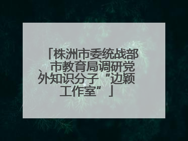 株洲市委统战部、市教育局调研党外知识分子“边颖工作室”