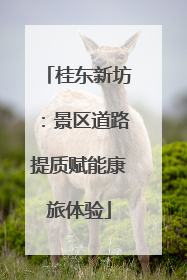 桂东新坊：景区道路提质赋能康旅体验