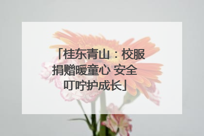 桂东青山：校服捐赠暖童心 安全叮咛护成长
