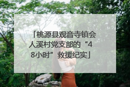 桃源县观音寺镇会人溪村党支部的“48小时”救援纪实
