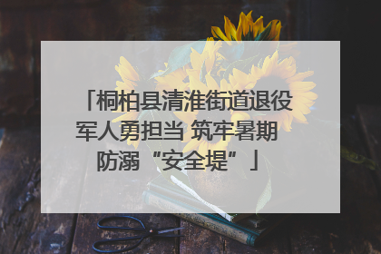 桐柏县清淮街道退役军人勇担当 筑牢暑期防溺“安全堤”