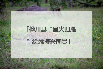 桦川县“星火归雁”绘就振兴图景
