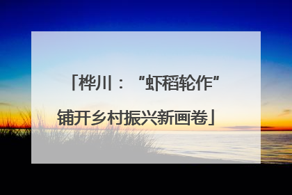 桦川：“虾稻轮作”铺开乡村振兴新画卷