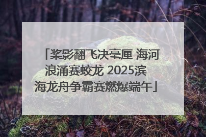 桨影翻飞决毫厘 海河浪涌赛蛟龙 2025滨海龙舟争霸赛燃爆端午