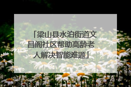 梁山县水泊街道文昌阁社区帮助高龄老人解决智能难题