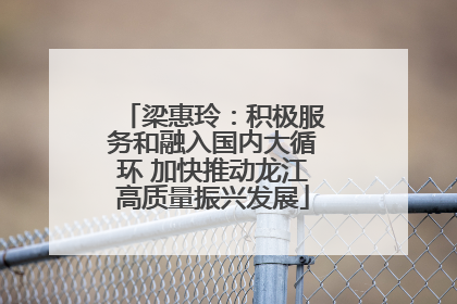 梁惠玲：积极服务和融入国内大循环 加快推动龙江高质量振兴发展