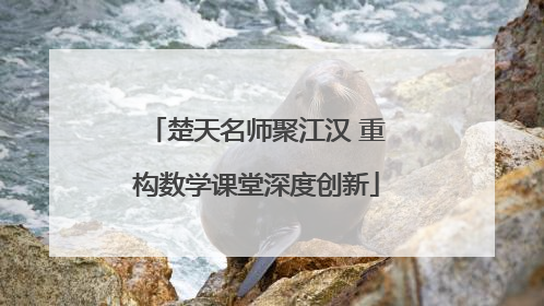 楚天名师聚江汉 重构数学课堂深度创新