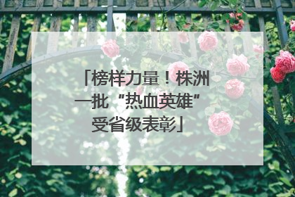 榜样力量！株洲一批“热血英雄”受省级表彰