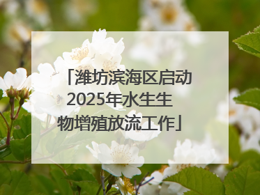 潍坊滨海区启动2025年水生生物增殖放流工作