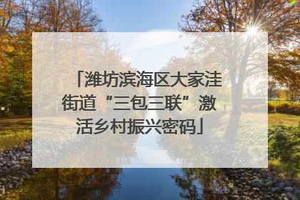 潍坊滨海区大家洼街道“三包三联”激活乡村振兴密码