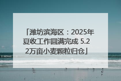潍坊滨海区：2025年夏收工作圆满完成 5.22万亩小麦颗粒归仓