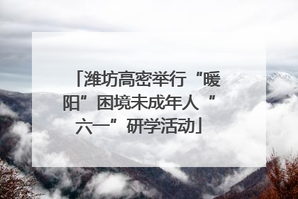 潍坊高密举行“暖阳”困境未成年人“六一”研学活动