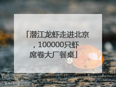 潜江龙虾走进北京，100000只虾席卷大厂餐桌
