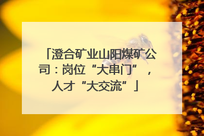 澄合矿业山阳煤矿公司：岗位“大串门”，人才“大交流”