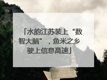 水韵江苏装上“数智大脑”，鱼米之乡驶上信息高速
