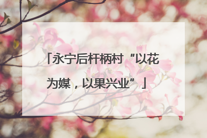 永宁后杆柄村“以花为媒，以果兴业”